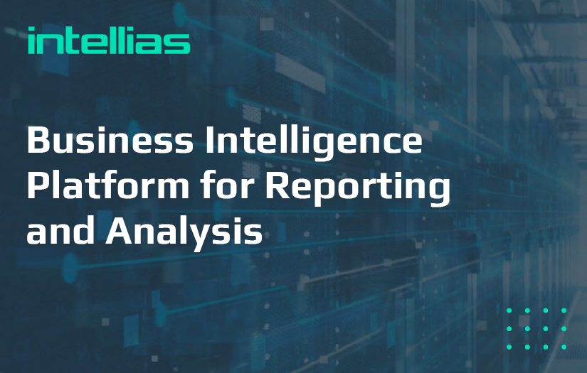 Business Intelligence Platform for Reporting and Analysis screenshot 1
